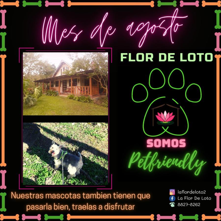 La Flor De Loto Villa Картаго Екстериор снимка