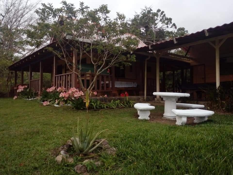 La Flor De Loto Villa Картаго Екстериор снимка